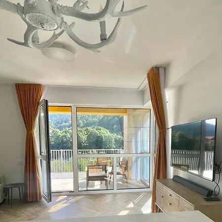 Ohda Apartment Sinaia